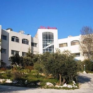 Olive Branch Hotel